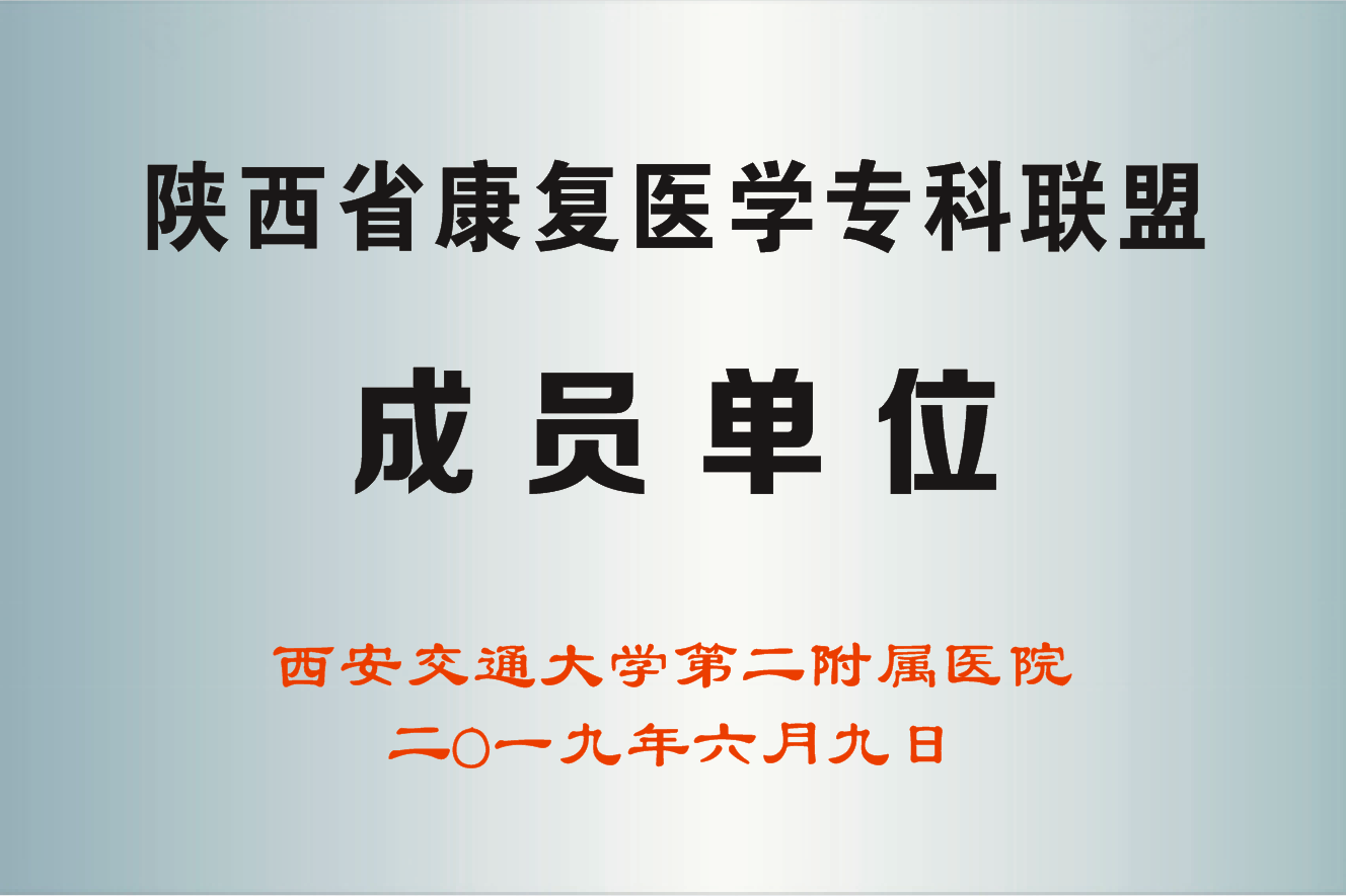 资质荣誉