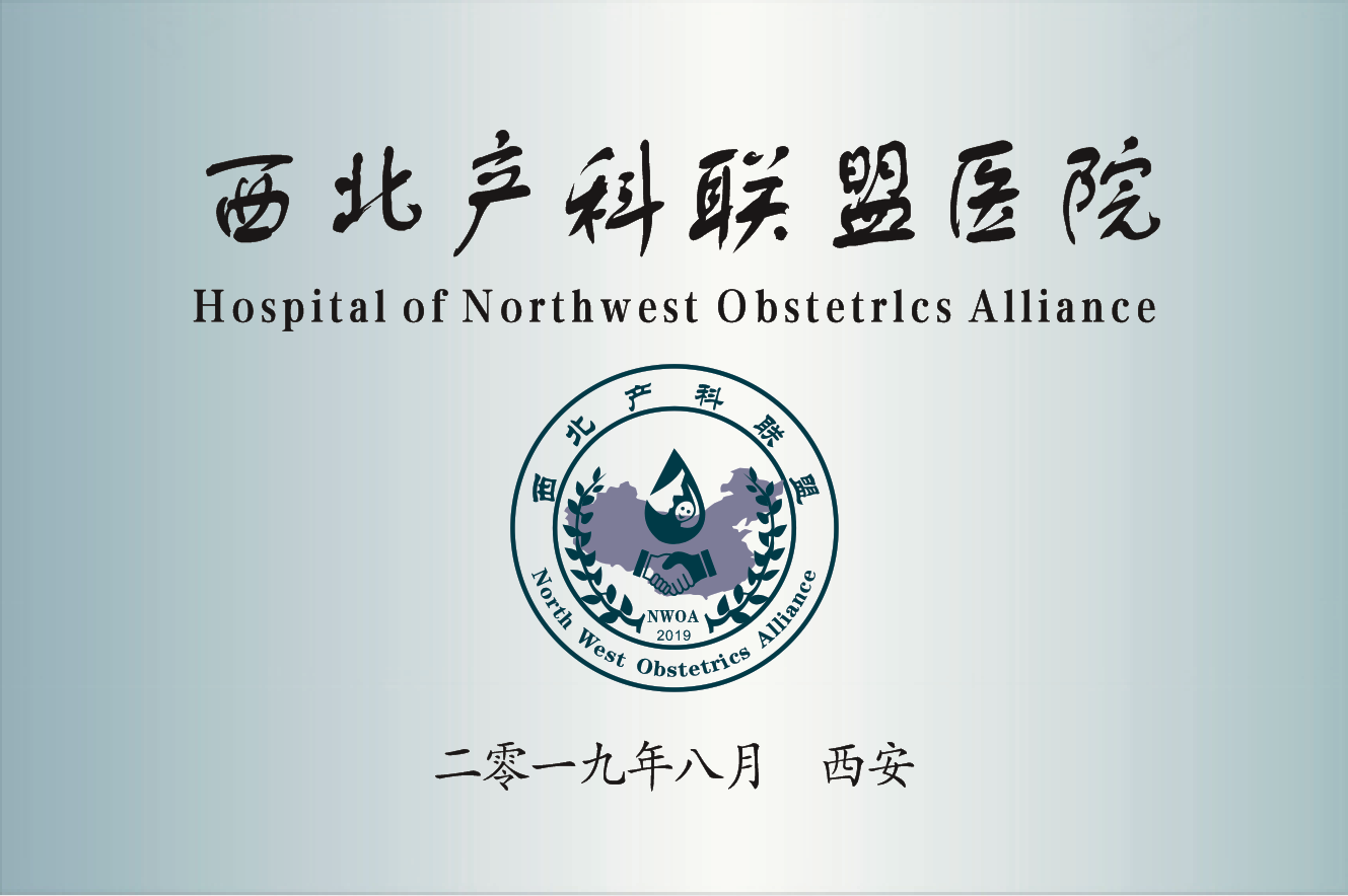资质荣誉